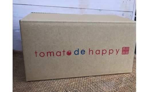 【個数限定】毎日の習慣に!トマト100％贅沢なトマトジュース 6回定期便 H004-165