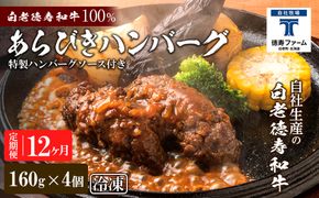 定期便 12カ月 和牛 粗びき 生 ハンバーグ 4個セット デミグラスソース付き 160ｇ×4袋 BJ051