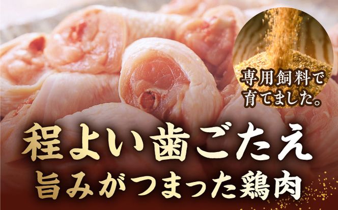 【全3回定期便】博多華味鳥 水炊き セット 6~8人前 《築上町》【トリゼンフーズ】博多 福岡 鍋 鶏 水たき みずたき[ABCN006]