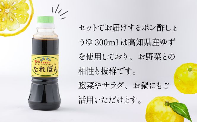 野菜セット  詰め合わせ 7種 ( 特製ポン酢付 )  新鮮 旬 春夏秋冬 おまかせ 5000円 送料無料!