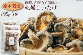 干し椎茸 しいたけ 乾燥 約95g 3 計約285g 肉厚 原木栽培 乾燥しいたけ [日添 熊本県 五木村 51120303] 椎茸 乾燥椎茸 シイタケ