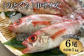 【CF01】CF091「のどぐろ」中サイズ（160～180g） 6尾　＜煮付け・塩焼き用＞