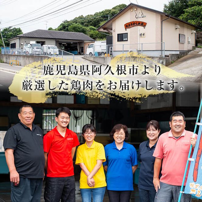 鹿児島県産！南国元気鶏Cセット(ムネ肉：計3kg・500g×6P) 国産 鹿児島県産 鶏肉 肉 お肉 ムネ肉 むね肉 胸肉 南国元気鶏 小分け 小パック【さるがく水産】a-12-319-z