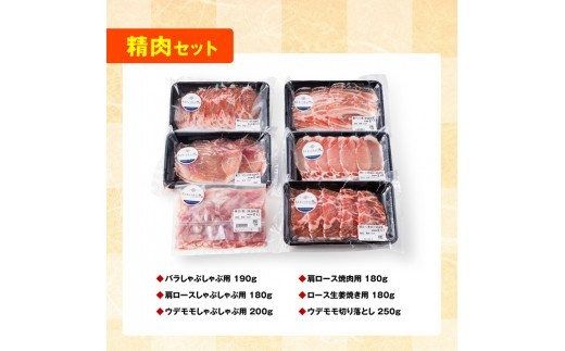 さんきょうみらい豚満喫セット（精肉） 【 満喫 セット 精肉 豚肉 宮崎県産 川南町産 バラ 肩ロース ウデ モモ しゃぶしゃぶ スライス 】 [E0102b]