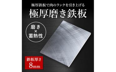 028FS01N.MILL,pan TYPE-Rg （研磨タイプ）極厚鉄板８mm