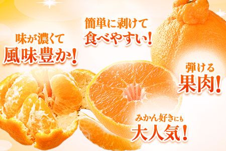 不知火 ご家庭用 デコみかん 約5kg 12～24玉前後《2026年2月上旬-4月末頃出荷》 デコポン（不知火）と同品種 熊本県産 熊本県 長洲町 訳あり---ng_dkmkn_af24_r7_12500_5kg---