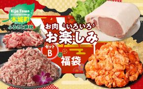 ★スピード発送!!７日～10日営業日以内に発送★ 福袋 木城町 お肉いろいろお楽しみセットB K16_0070_3