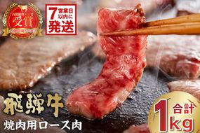 【7営業日以内発送】飛騨牛　焼肉用ロース1kg（500ｇ×2）【0016-053】