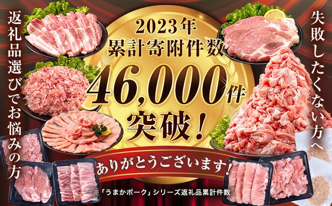 数量限定★生産者応援★ 豚肉 小分け バラエティ セット うまか ポーク しゃぶしゃぶ 切り落とし 豚ロース バラ 豚バラ 豚バラ肉 スライス 4.6kg 4600g 4kg 以上 真空 お楽しみセット 不揃い 数量限定 簡易包装 冷凍配送 《30日以内に出荷予定(土日祝除く)》---fn_fozpfs_23_30d_15000_4600g---