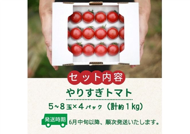 【先行予約】やりすぎトマト（4パック計約1kg）（夏季）（2024年6月中旬以降発送） DE00056