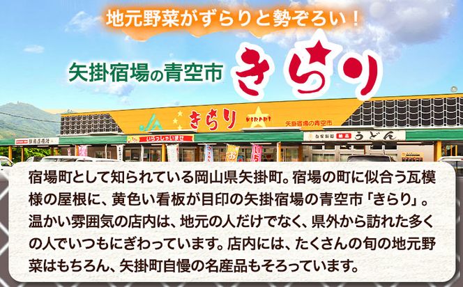 【6ヶ月定期便】旬の新鮮野菜詰め合わせセット 野菜5～10品目入 青空市きらり《お申込み月の翌月から出荷開始》岡山県 矢掛町 野菜 野菜詰め合わせ トマト きゅうり アスパラガス 玉ねぎ リーキ 送料無料---osy_cakystei_24_43500_mo6num_s---