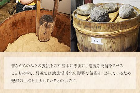 「田河東洋男商店」 ふるさと しょうゆと簡単味噌汁ギフトセット 熊本県氷川町産《30日以内に出荷予定(土日祝除く)》---sh_tagawagift_30d_24_13000---
