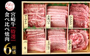 宮崎牛 特選 食べ比べ 6種盛り 合計600g_M109-014