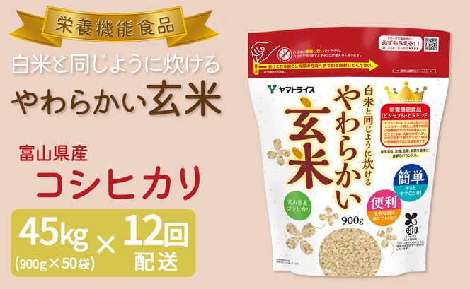 やわらかい玄米 900g×50袋 ※定期便12回 安心安全なヤマトライス H074-527