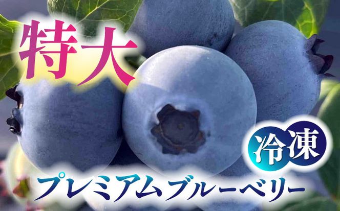 ＼毎年7月より順次発送/あいさい彩ベリー（冷凍果実）250g×2パック 【あいさいベリーLABO】 ブルーベリー フルーツ 冷凍 [AEBZ003]