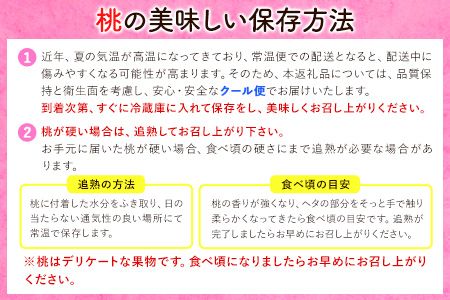 【秀品】和歌山 桃 5～8玉入 ときわオンライン《2025年6月下旬～9月中旬頃出荷》和歌山県 紀の川市 フルーツ 果物 桃 お中元 贈り物 ギフト 産地直送 農家直送---wsk_ctkw13_6g9c_24_13000_5t---