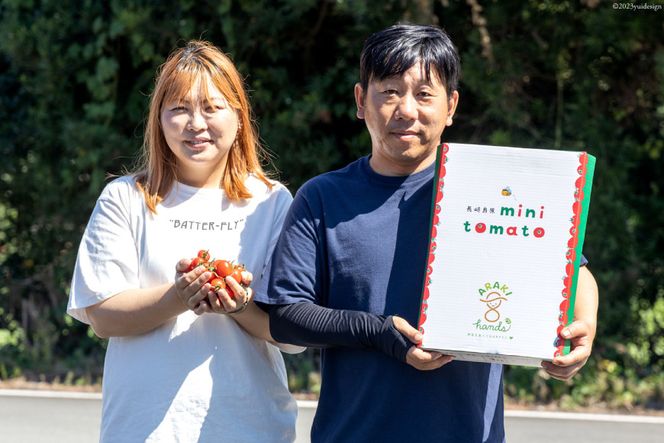 AH115 宝石のように輝くトマト プレミアムルビー6㎏ 【 島原市 トマト 農家直送 】