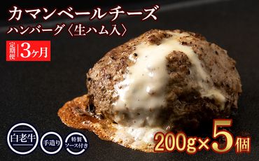 定期便３ヵ月 お楽しみ 北海道産 白老牛 カマンベールチーズハンバーグ 5個セット 冷凍 チーズ イン ハンバーグ BY068