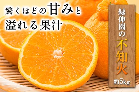 『緑伸園』の不知火・肥の豊 約5kg 《12月中旬-1月下旬出荷》 あのデコポンと同品種---sg_ryokusira_k12_24_24000_5000g---