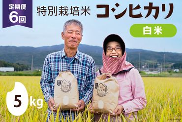 定期便 特別栽培米 コシヒカリ 白米 5kg×1×6回 総計30kg [農家にしの 石川県 宝達志水町 38600638] 米 お米 ご飯 ごはん