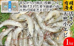 CD190 活き〆 天然小エビ 1kg（500ｇ×2パック）