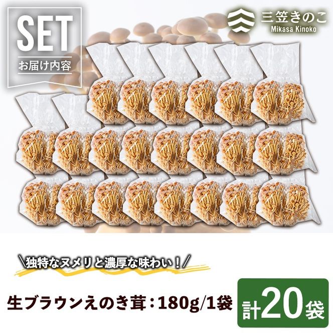 生ブラウンえのき茸(20袋・計3.6kg)国産 エノキ きのこ 茸 キノコ 個包装【三笠えのき茸生産組合】akn010-09