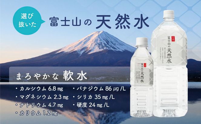 【3か月連続】 富士山の天然水 500ml×24本 ＜毎月お届けコース＞ FBB004