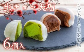 0B1-91 生チョコ大福、抹茶生チョコ大福詰め合わせ（各3個入）