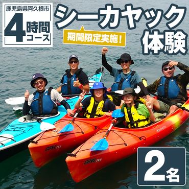 期間限定実施 シーカヤック体験チケット(4時間/2名) 阿久根 シーカヤック アウトドア アクティビティ 自然 体験 ツアー チケット マリンスポーツ【パズル】a-54-8