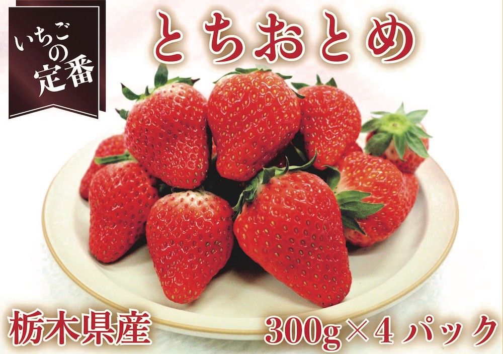 [先行予約・いちごの定番] とちおとめ1200g (12月中旬より順次発送予定)|いちご イチゴ 苺 フルーツ 果物 産地直送 栃木県産 矢板市産 [0353]