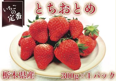 [先行予約・いちごの定番] とちおとめ1200g (12月中旬より順次発送予定)｜いちご イチゴ 苺 フルーツ 果物 産地直送 栃木県産 矢板市産 [0353]