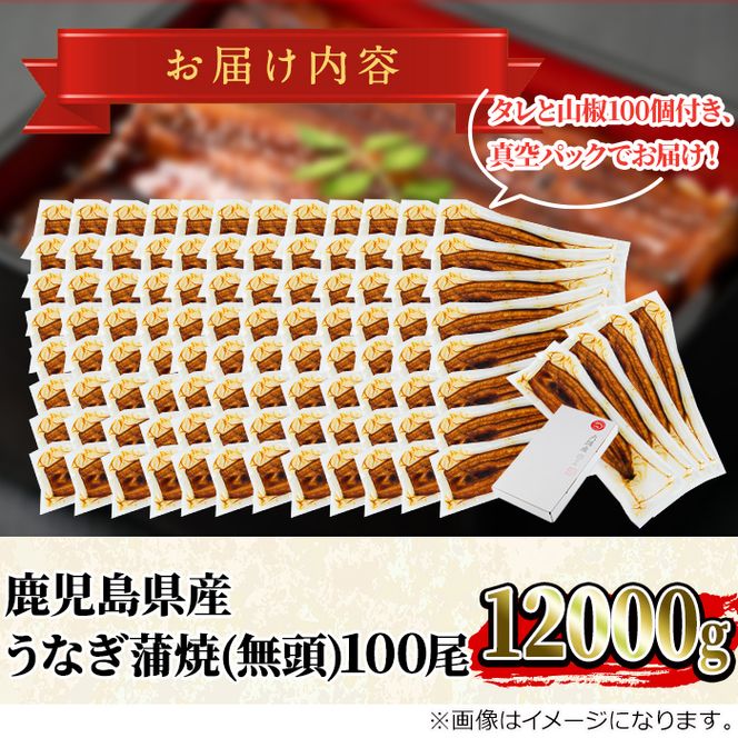 y̑Sǒzy4504306az喞ǒ̂Ȃ()(120g×100Ev12000gE^ARt)Ȃ  EiM V Y  Ă   ӂ邳 lCyANA݁z