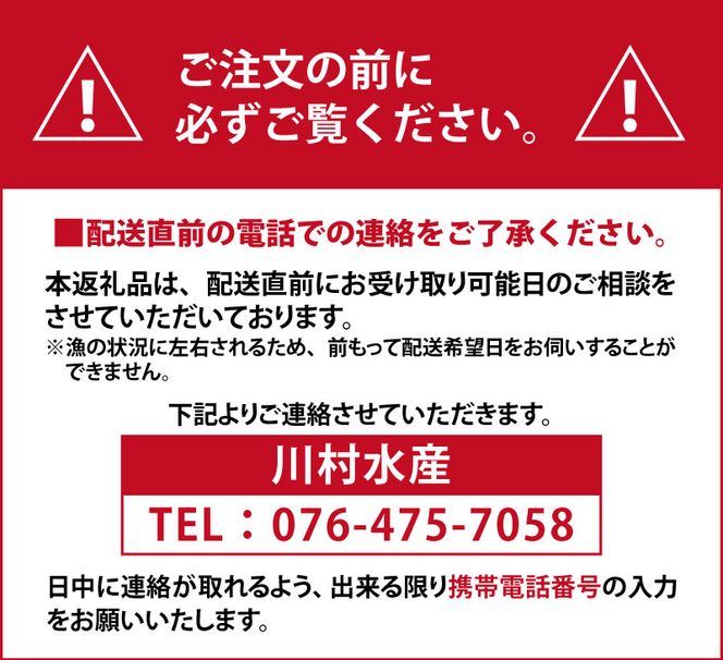 【先行予約】ほたるいか ボイル＆刺身セット 鶴瓶の家族に乾杯で放送5.13【(株)川村水産】※発送前に在宅確認の電話連絡をいたします！　※25年3月中旬以降順次発送予定