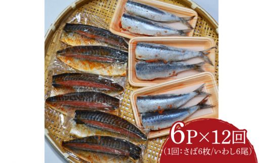 【全12回定期便】さば明太6枚・いわし明太6尾セット《築上町》【株式会社マル五】[ABCJ083]