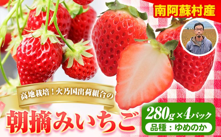 朝摘みいちご ゆめのか 280g×4パック 高地栽培 味采市場 [1月末-3月末頃より出荷予定] 熊本県南阿蘇村 味采市場 いちご 苺 イチゴ フルーツ くだもの 果物---sms_cajicgym_ec13_23_13000_1120g---