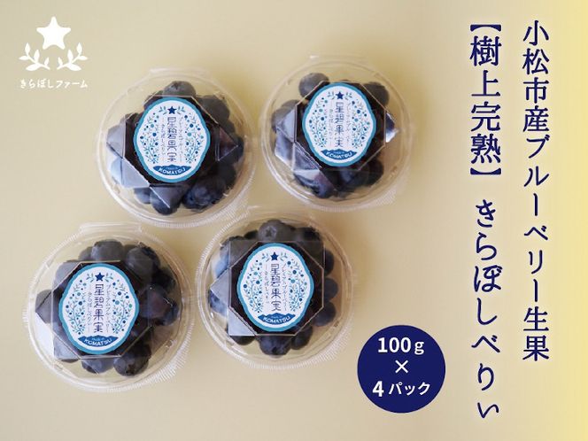 小松産ブルーベリー【きらぼしべりぃ】生果　400g 013021