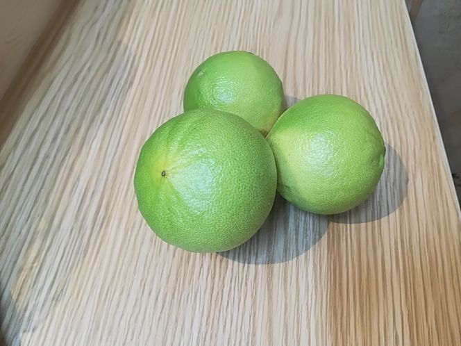 国産(美浜町産)ベルガモット『自宅用1kg入り』 ※2024年12月上旬頃より順次発送予定