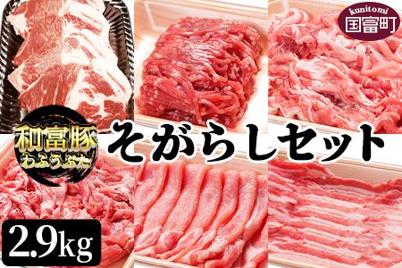 [和富豚 そがらしセット 2.9kg]翌月末迄に順次出荷[b0300_em]