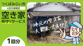 空き家見守りサービス【1回分】 管理 見守り 代行 点検 [BB04-NT]