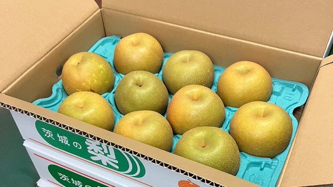 【 2026年8月上旬発送開始 】 茨城県産 梨 幸水 （約 5kg ） 10～14玉  梨 なし 和梨 日本梨 果物 フルーツ 新鮮 旬 期間限定 国産 先行予約[CL001us]