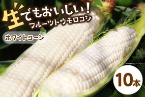 【先行予約】 生食も！高糖度！もぎたて！ フルーツトウモロコシ「ホワイトコーン」（2025年6月下旬～発送）　DE00125