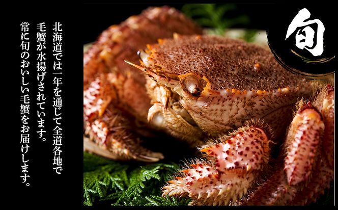 毛蟹 ボイル済み 冷凍 4尾セット 約1.8kg  BM245