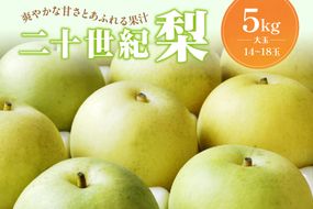 【先行予約／数量限定100】京丹後産 二十世紀梨 大玉 5kg（14～18玉入り）（2025年9月上旬～発送）　HF00005