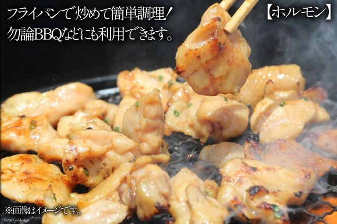 豚肉 もつ ハラミ 食べ比べ セット 300g×各5袋 計3kg [甲斐精肉店 宮崎県 日向市 452060717] 肉 お肉 豚 ホルモン 九州産 冷凍 真空 モツ 豚モツ 焼肉 BBQ