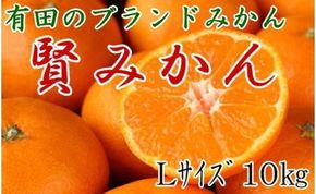 [秀品]有田のブランド「賢みかん」10kg(Lサイズ)【2024年11月中旬頃より順次発送】BZ013