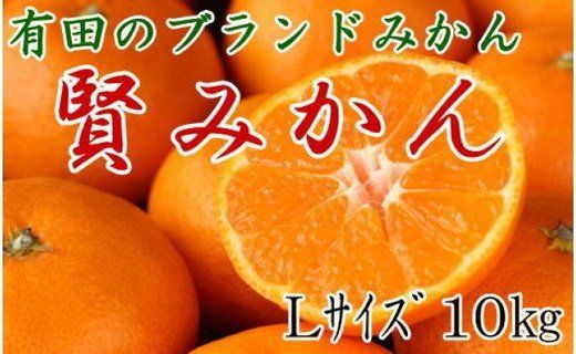[秀品]有田のブランド「賢みかん」10kg(Lサイズ)【2025年11月中旬頃より順次発送】 BZ013