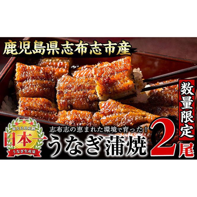 yuzuszyʌzȂ̑큃2Zbgv220gȏ(110gȏ×2) a1-071