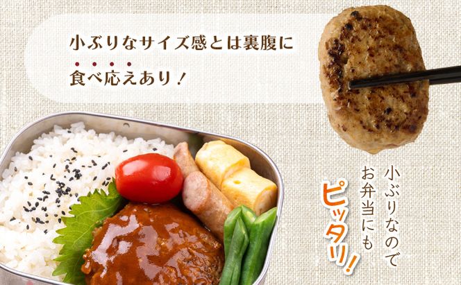 ハンバーガー屋の本気ミニハンバーグ750ｇ（50ｇ×15個） ＜ 国産 高知県産 牛肉 豚肉 ブランド肉 希少 土佐あかうし 四万十ポーク ＞sd018!