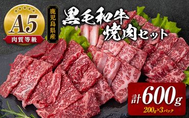 A5等級鹿児島県産黒毛和牛焼肉セット 　K208-018