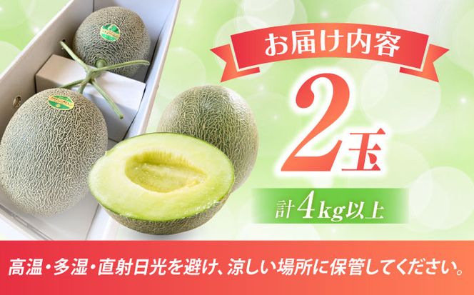 【2026年5月中旬～発送】肥後グリーンメロン 2玉（合計4kg以上） 果物 フルーツ / 南島原市 / 長崎県農産品流通合同会社[SCB088]